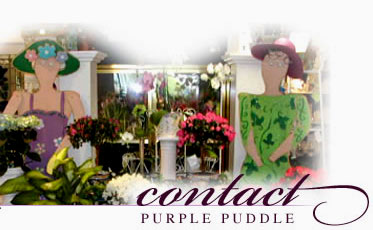Purple Puddle cooler area